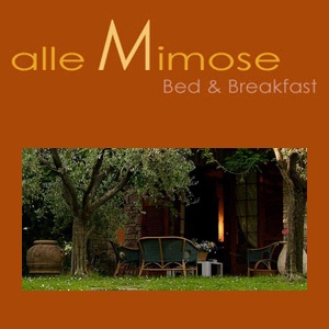 BED AND BREAKFAST ALLE MIMOSE