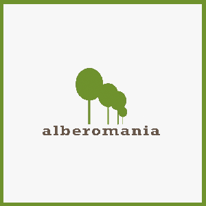 ALBEROMANIA