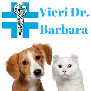 VIERI DR. BARBARA
