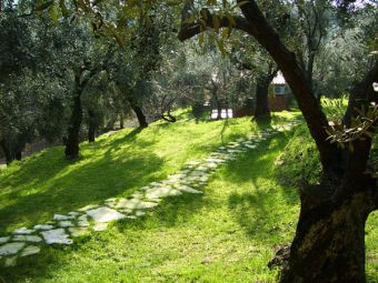 Dalla Pietra al Fiore:Manutenzione Giardini a Pieve Ligure