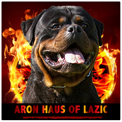 ARON HAUS OF LAZIC - Rottweiler Kennel Cuori Impavidi
