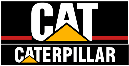 Cat Caterpillar