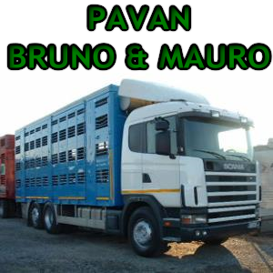 PAVAN BRUNO & MAURO Snc