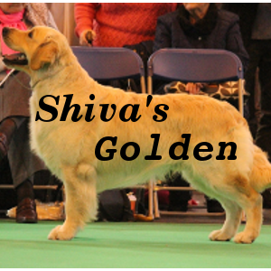SHIVA'S GOLDEN