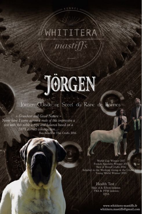 Ch. Jorgen Made of Steel du Ranc de Banne