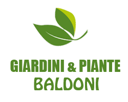 Giardini & Piante Baldoni