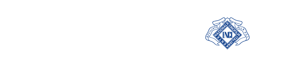 FLIES THE BANDWA LABRADORS