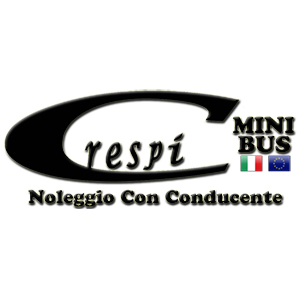Noleggio minibus 9 posti con conducente a Fontaneto d'Agogna. Contatta CRESPI MINIBUS tel 0322 88 30 85 cell 346 219 74 72