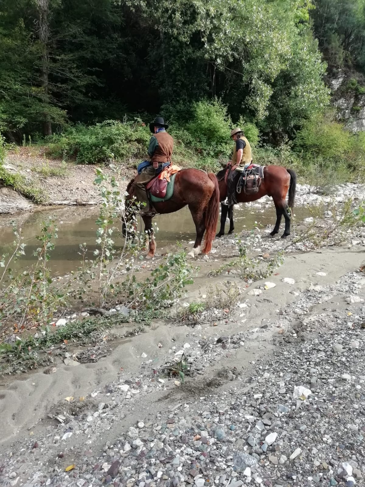 Trecking a cavallo a Siena