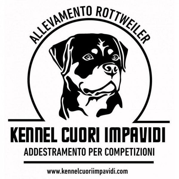 Addestramento Cani, Allevamento Cani, Cani a Reggio Emilia