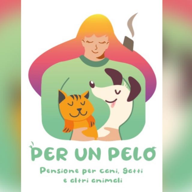 PENSIONE CANI TORINO PER UN PELO - Pensioni Cani Torino Piemonte - Gattile Torino Piemonte