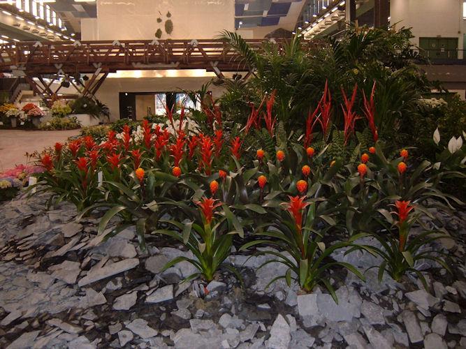euroflora 2006
